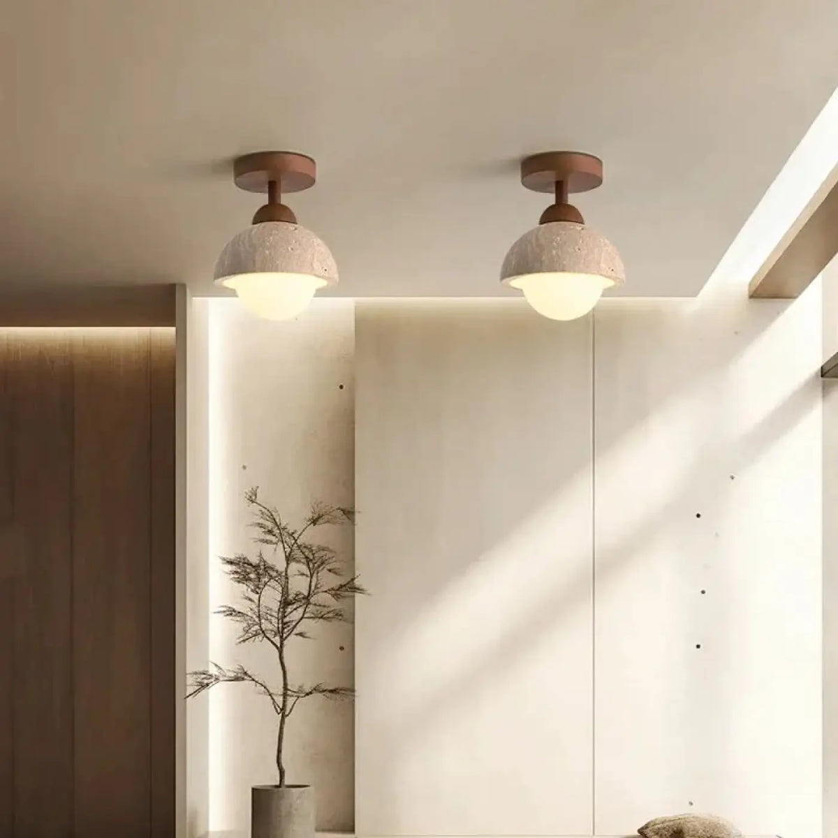 Luminaire Plafonnier | TERRIS