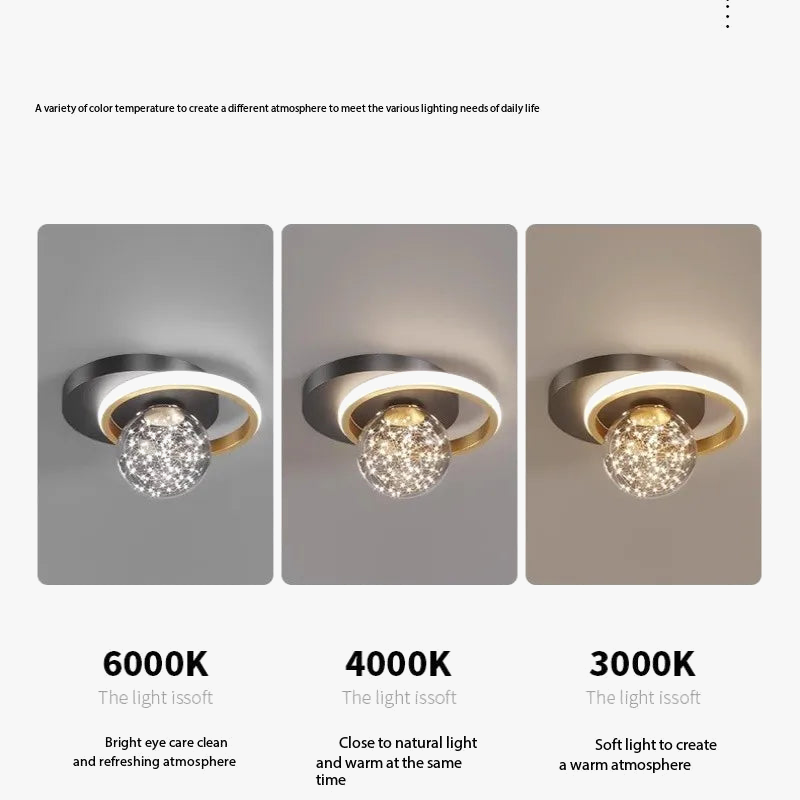 Plafonnier moderne 2023 pour décoration intérieure élégante Flora Nocturne - Esprit Contemporain & Décor Élégant