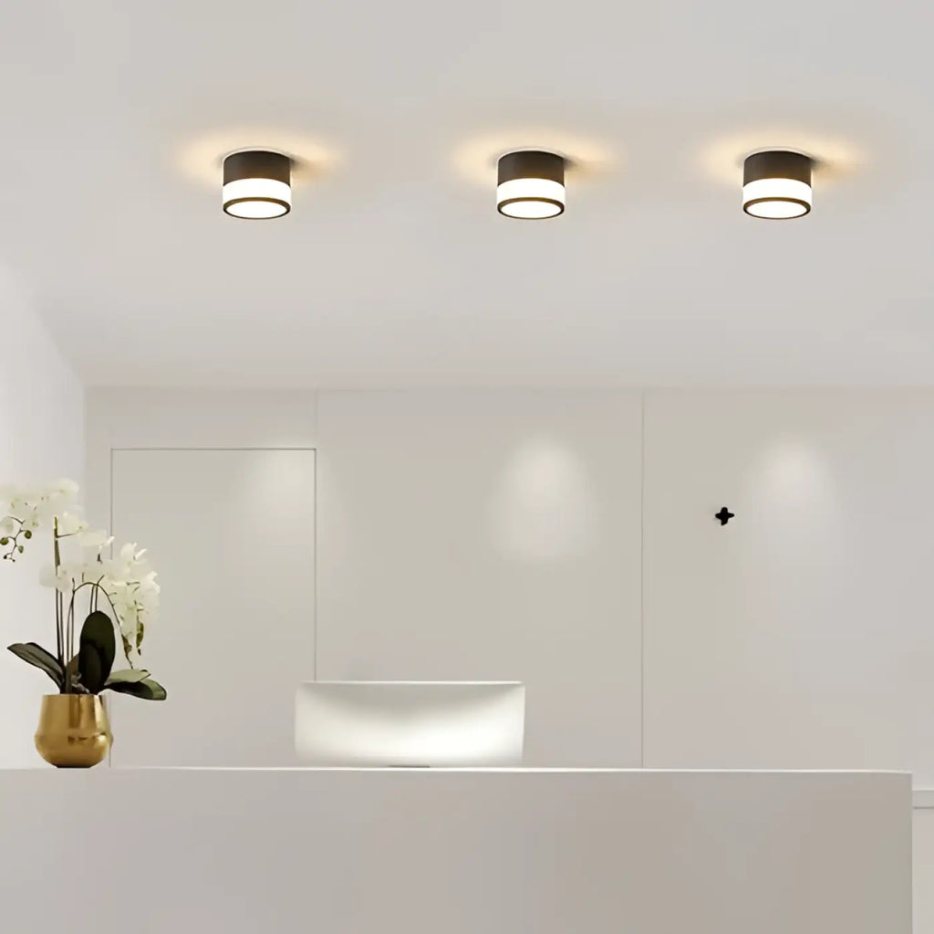 Luminaire Plafonnier | EBLOUIA