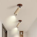 Luminaire Plafonnier | DOUJOURE