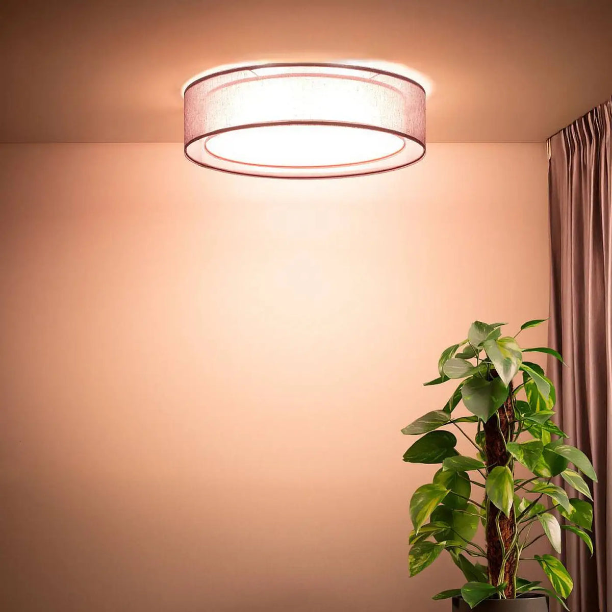 Luminaire Plafonnier | PURO (Violet)