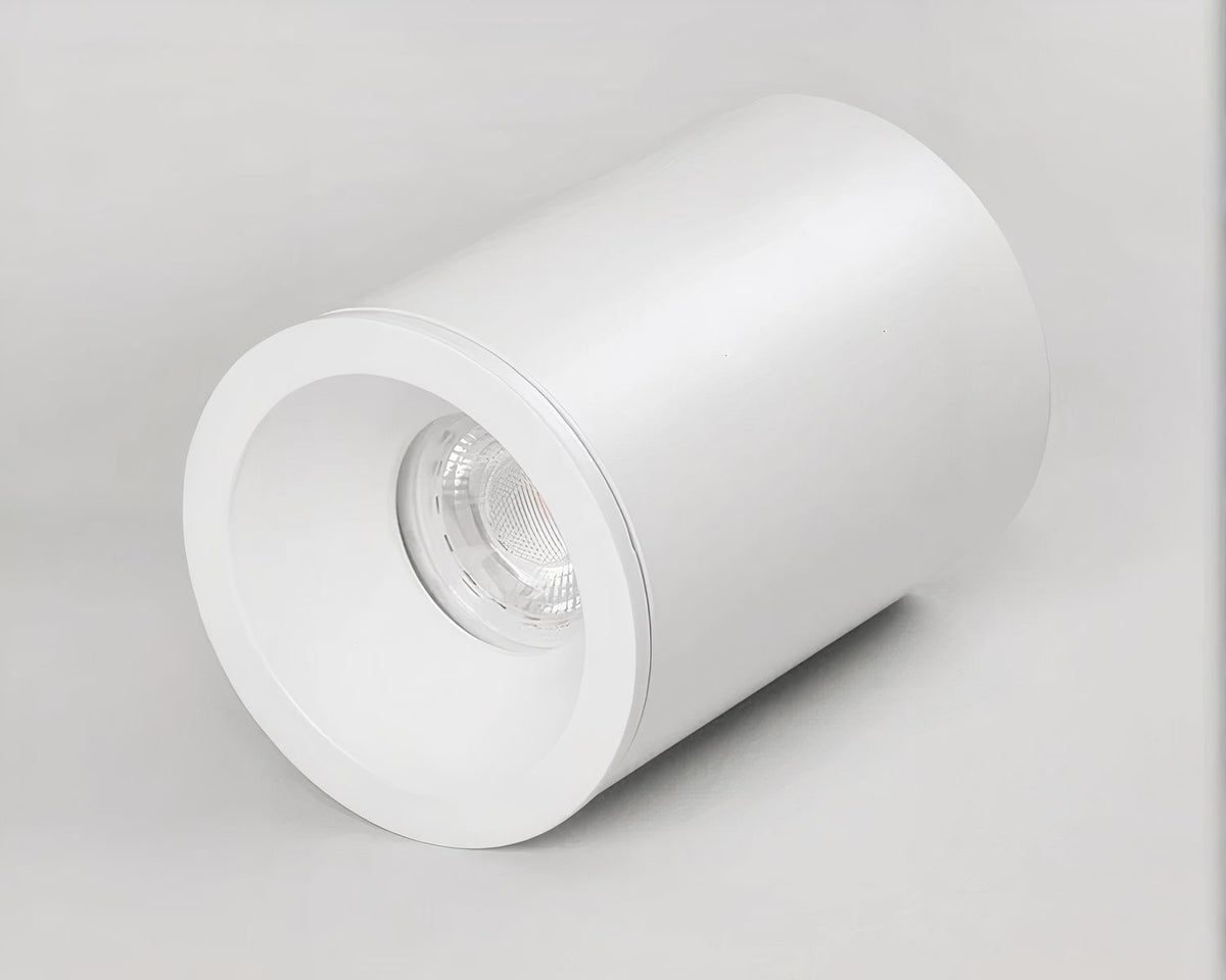 Spot étanche salle de bain en blanc ou noir mat