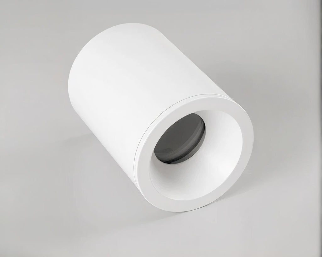 Spot étanche salle de bain en blanc ou noir mat