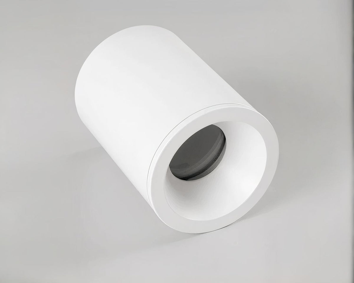 Spot étanche salle de bain en blanc ou noir mat