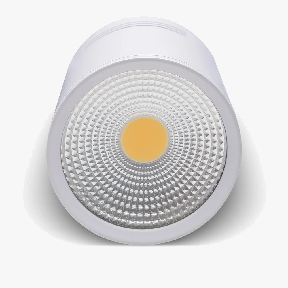 Spot led cob à intensité variable pour décoration intérieure Daphné Florilège en Aluminium - Une Présence Décorative Affirmée