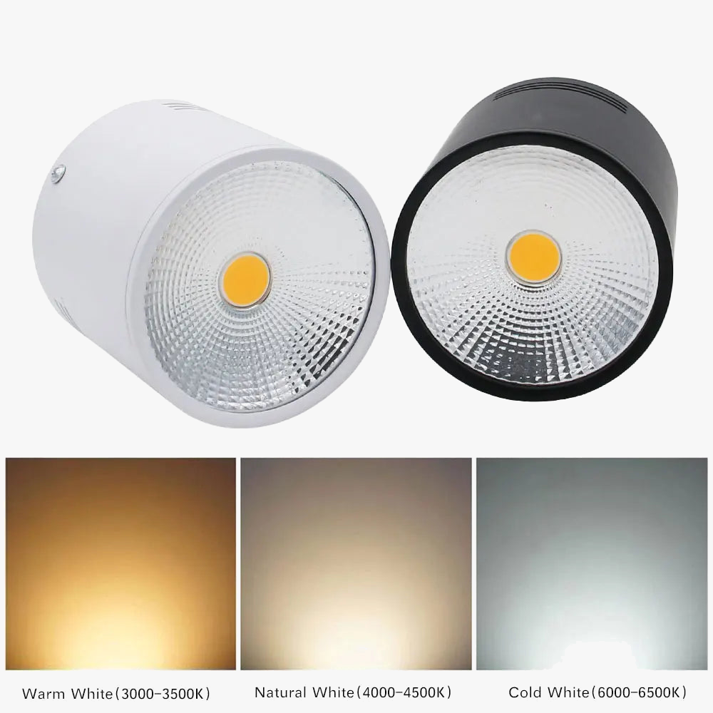 Spot led cob à intensité variable pour décoration intérieure Daphné Florilège en Aluminium - Une Présence Décorative Affirmée
