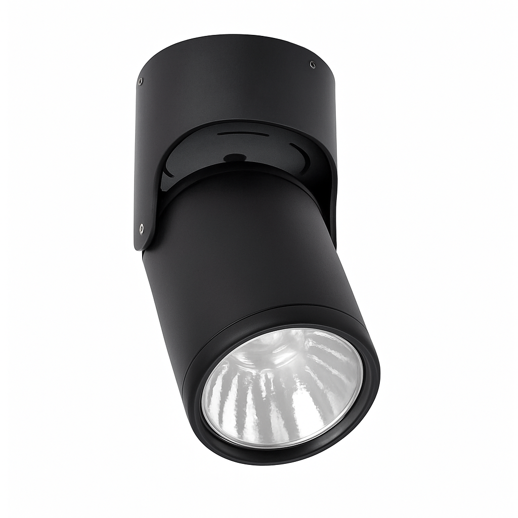 Spot — LED directionnel (noir ou blanc)