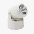 Spot — LED directionnel (noir ou blanc)