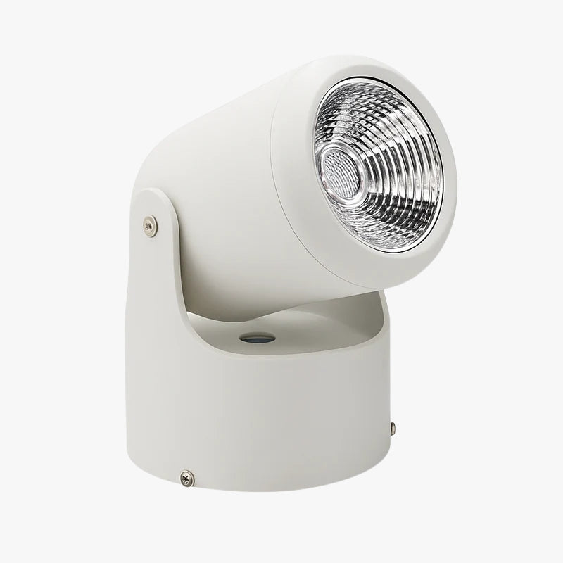 Spot — LED directionnel (noir ou blanc)