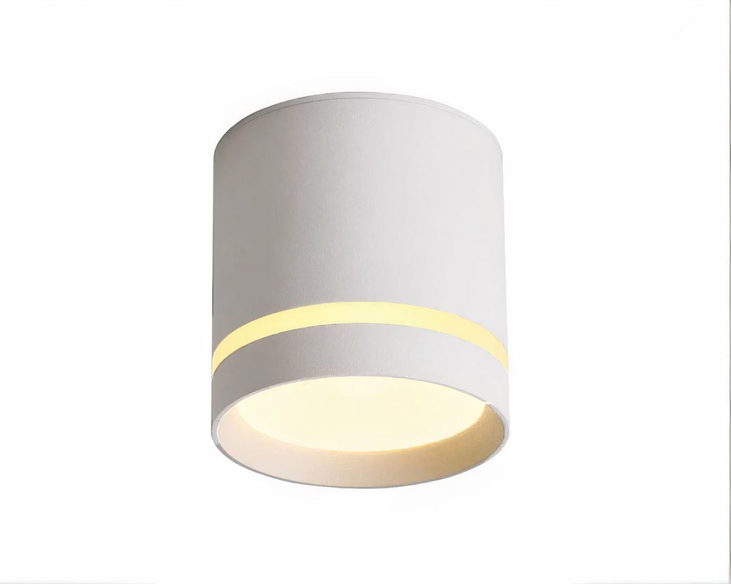 Spot lumineux étanche salle de bain avec ou sans variateur
