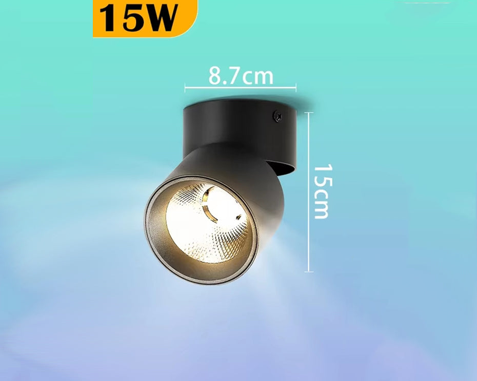 Spots LED orientables