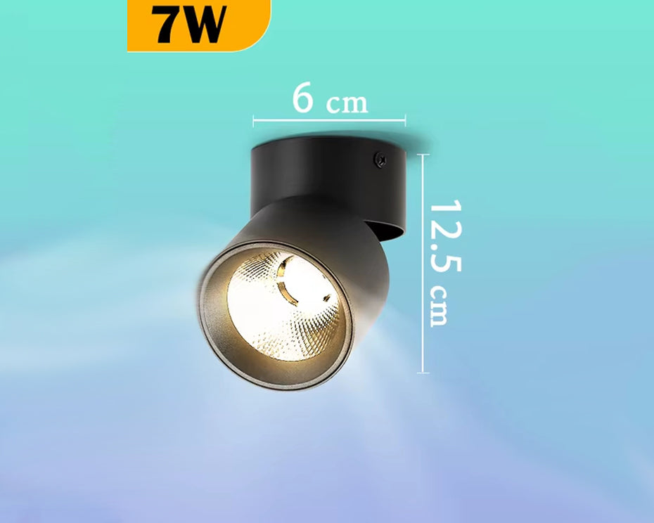 Spots LED orientables