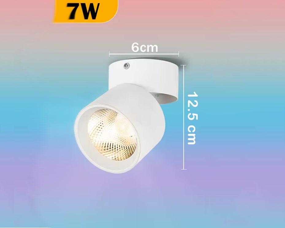 Spots LED orientables