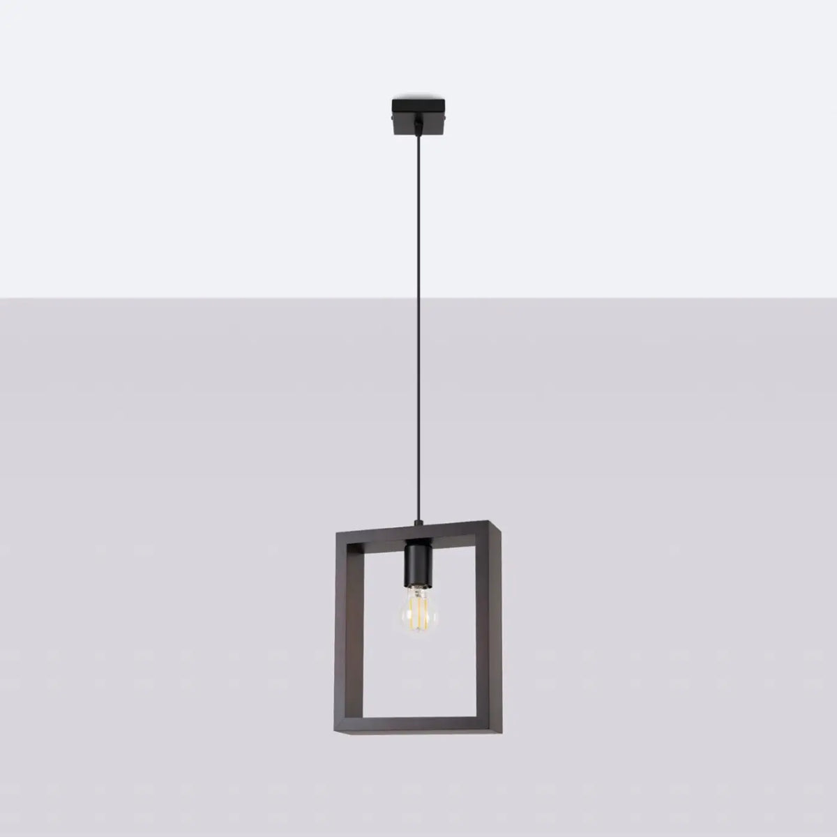 Suspension Luminaire | ARIES
