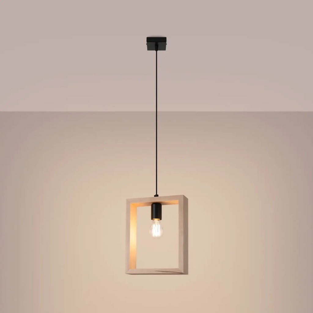 Suspension Luminaire | ARIES