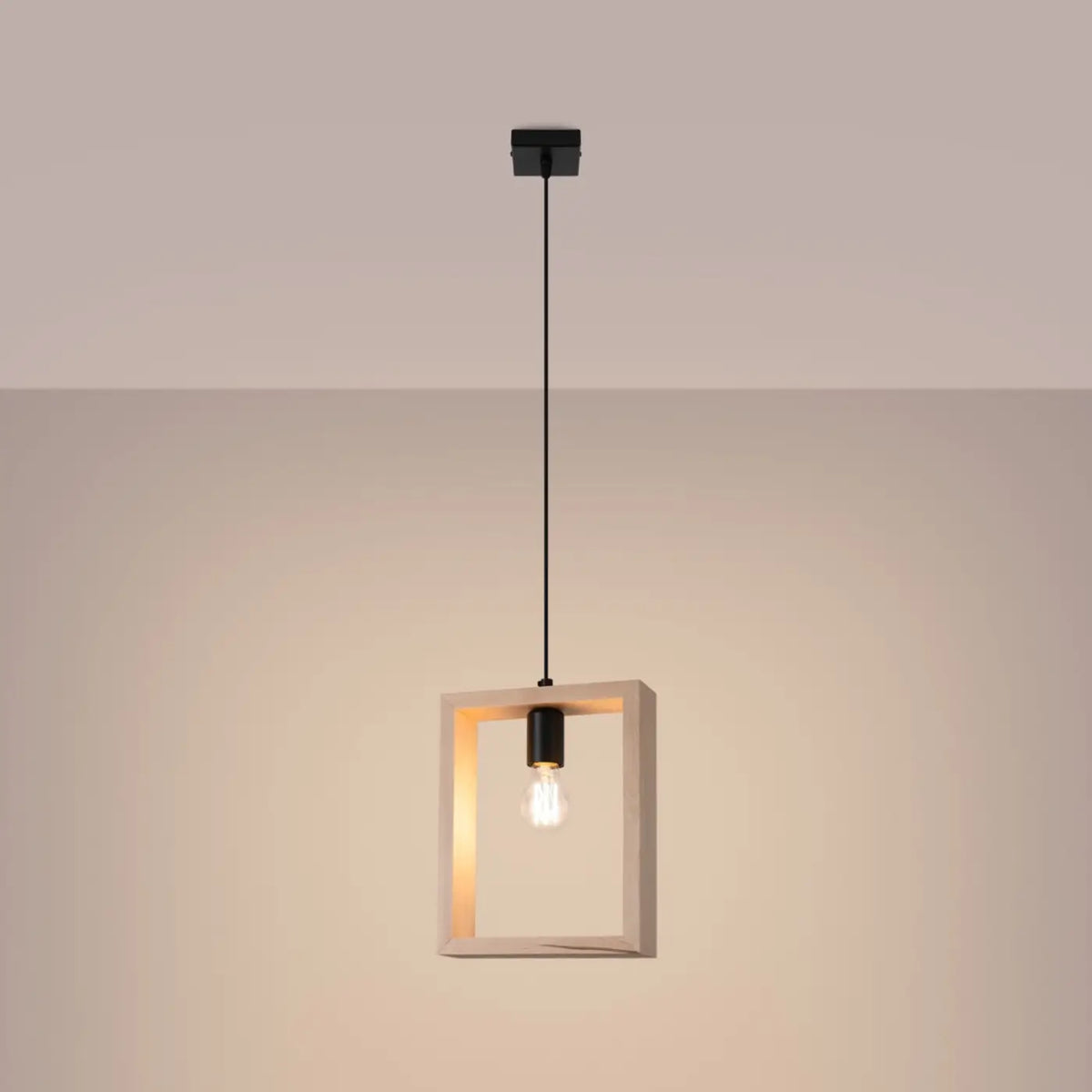 Suspension Luminaire | ARIES