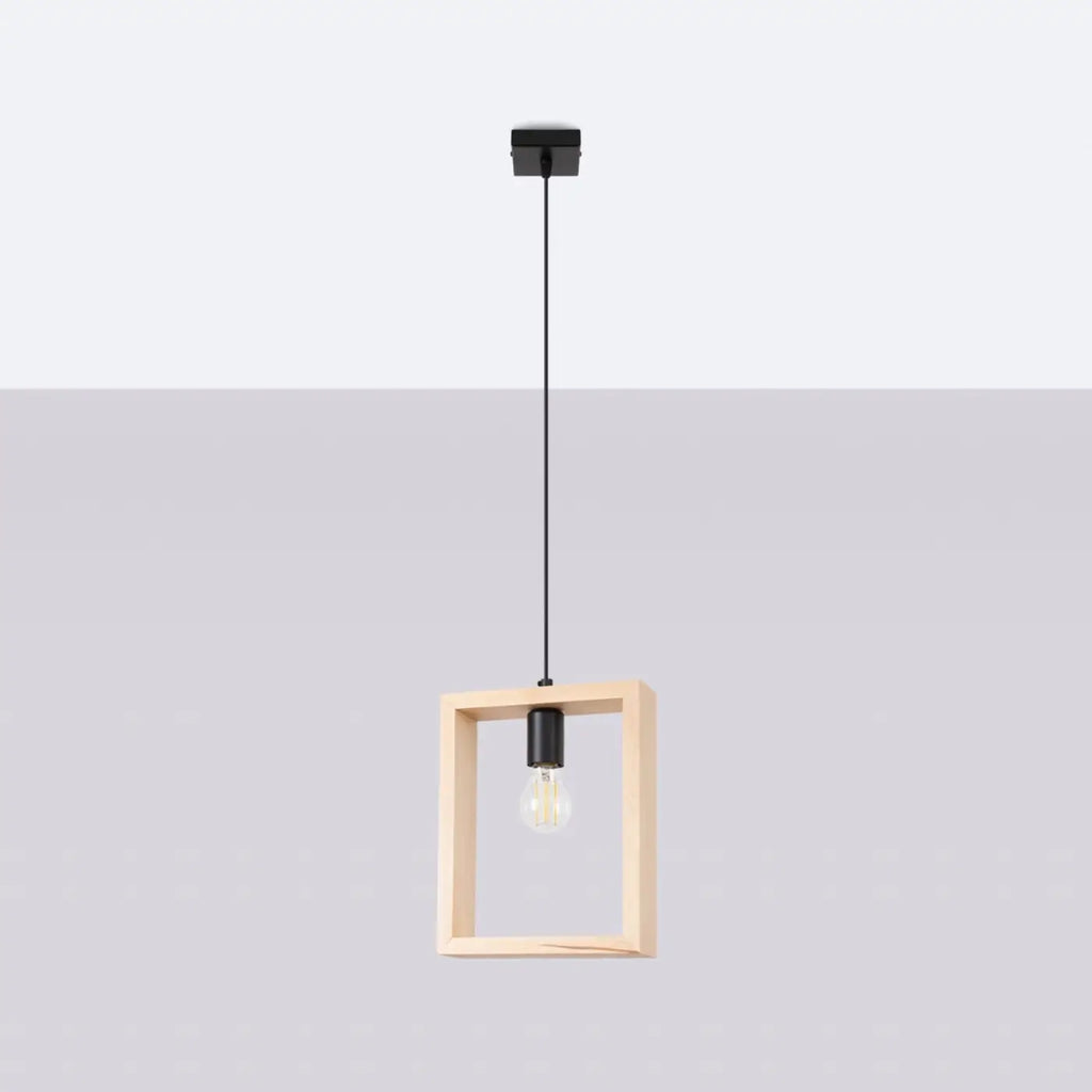 Suspension Luminaire | ARIES