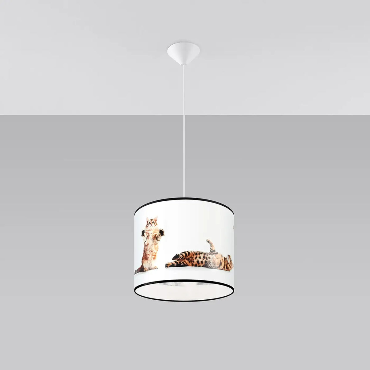 Suspension Luminaire | KITTY