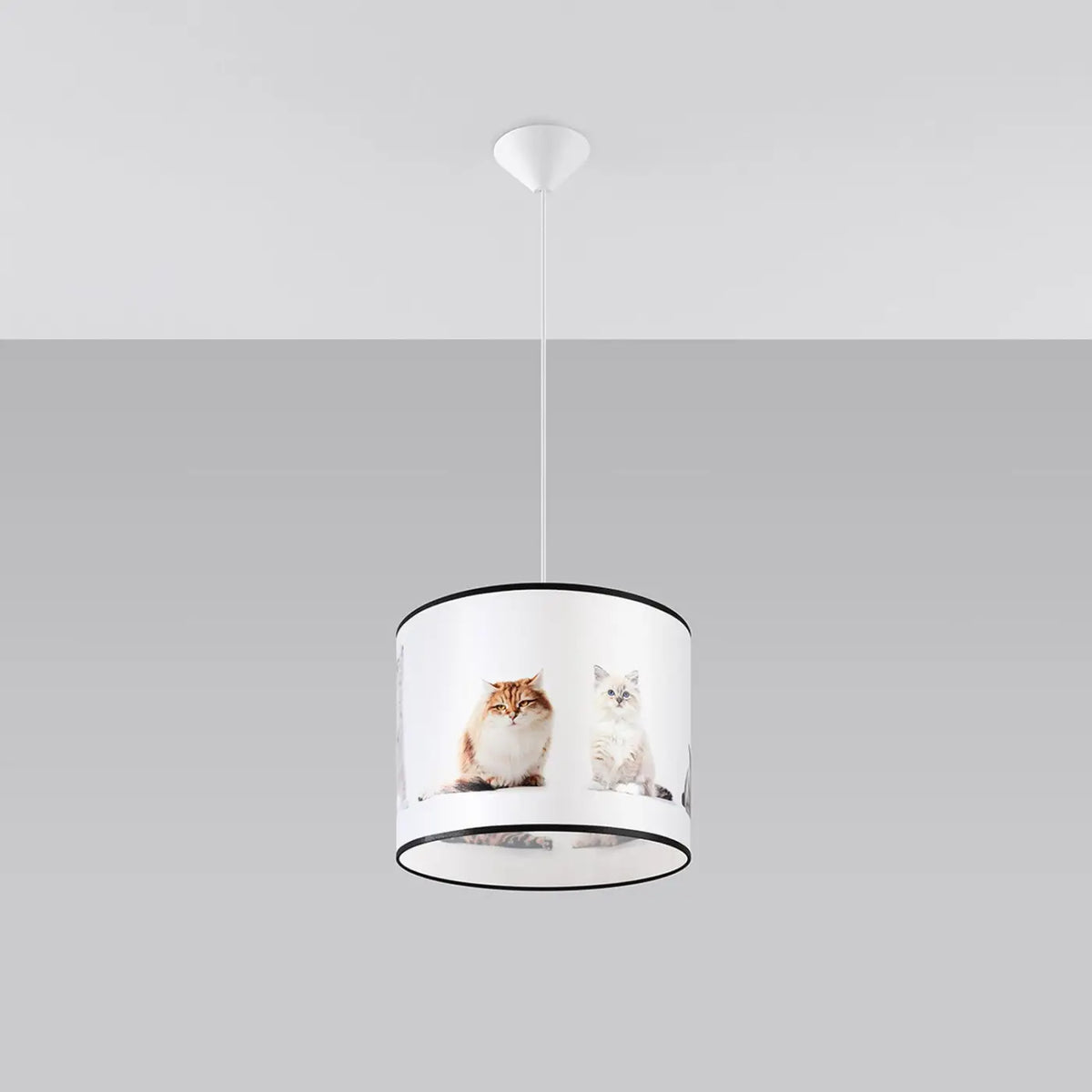 Suspension Luminaire | KITTY