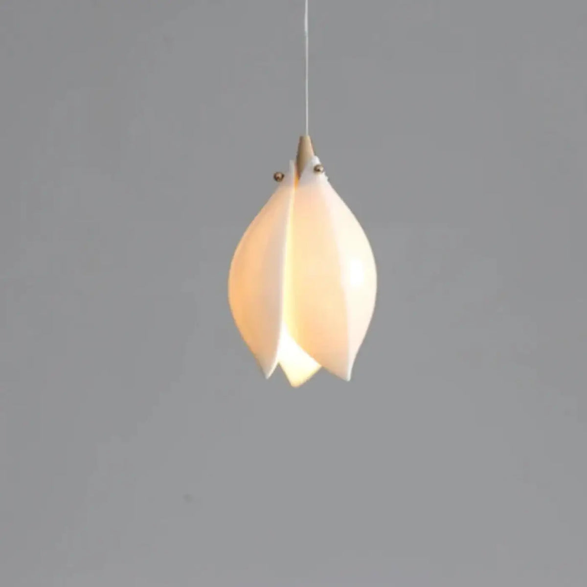 Suspension Feuble