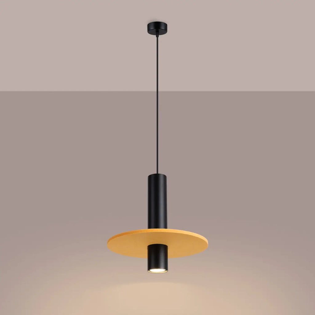 Suspension Luminaire | PELTA