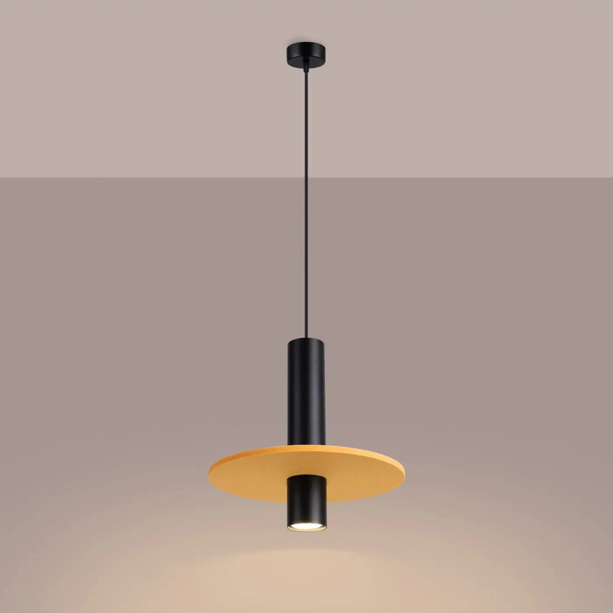 Suspension Luminaire | PELTA