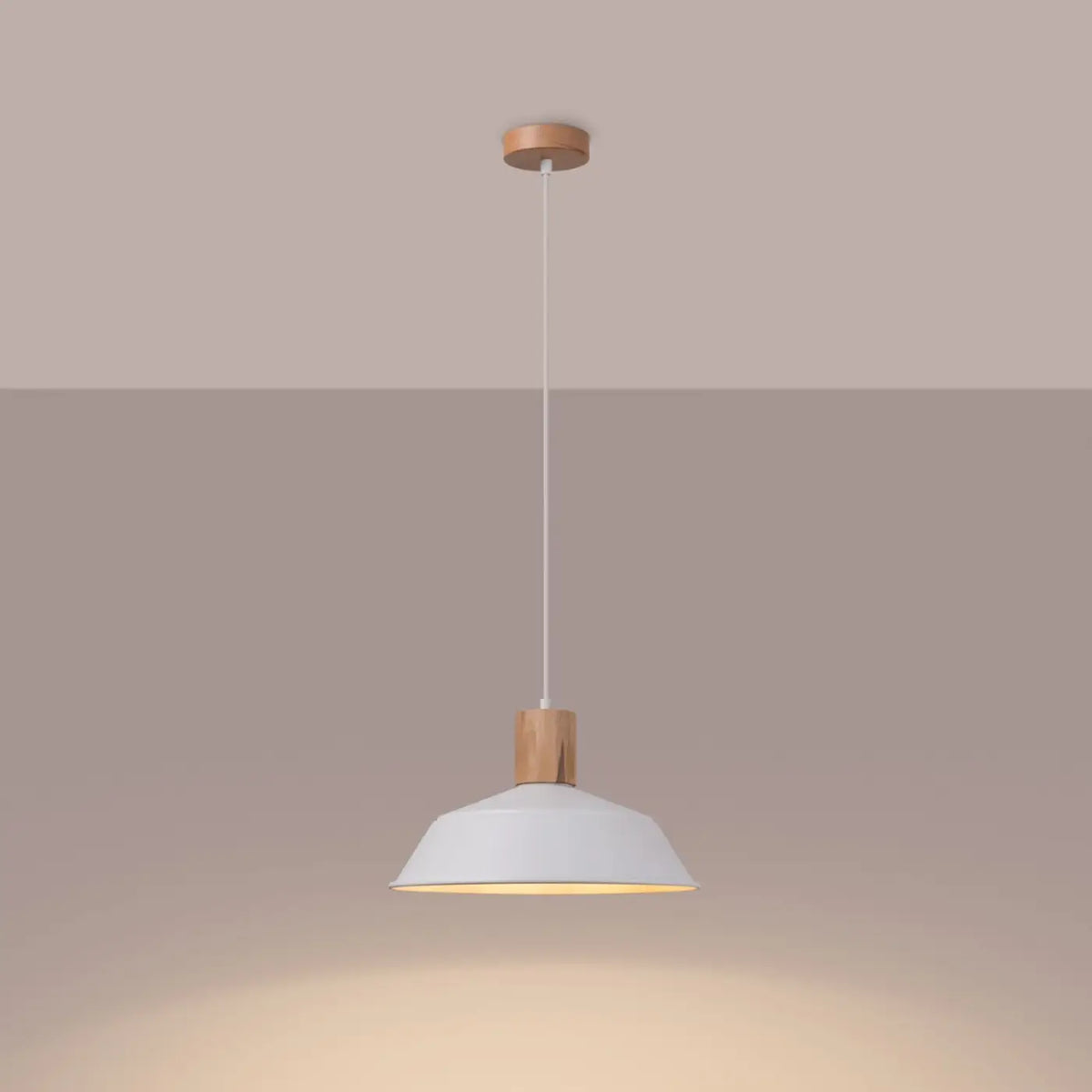 Suspension Luminaire | FANO