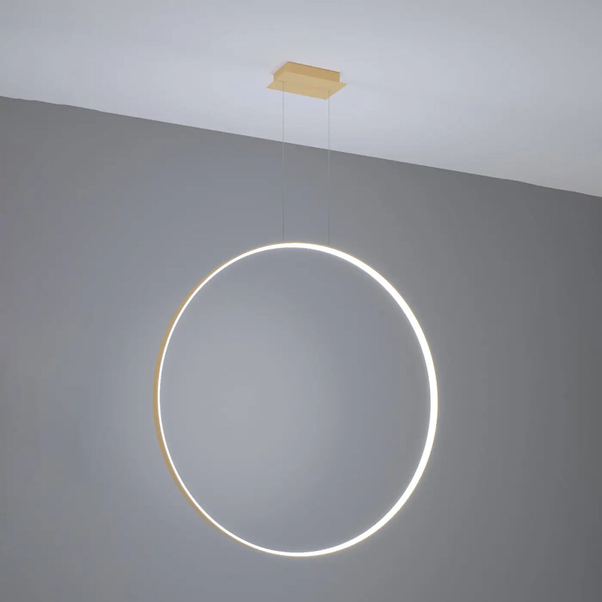 Suspension Luminaire | RIO
