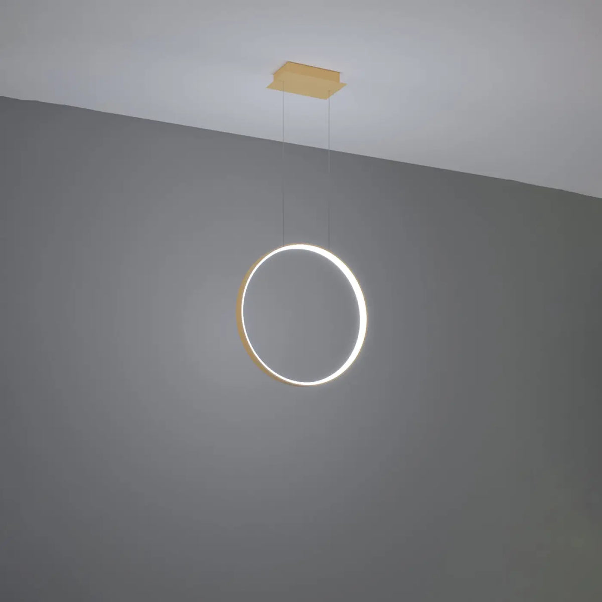 Suspension Luminaire | RIO
