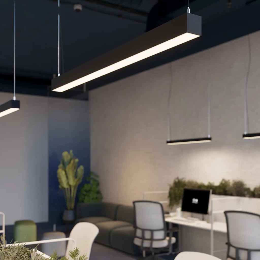 Suspension Luminaire | PINNE