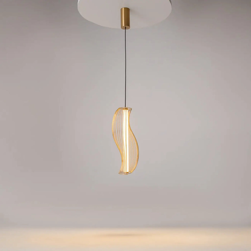 Suspension Luminaire | SHADOWS OF THE PAST (Cadre Sculptural)