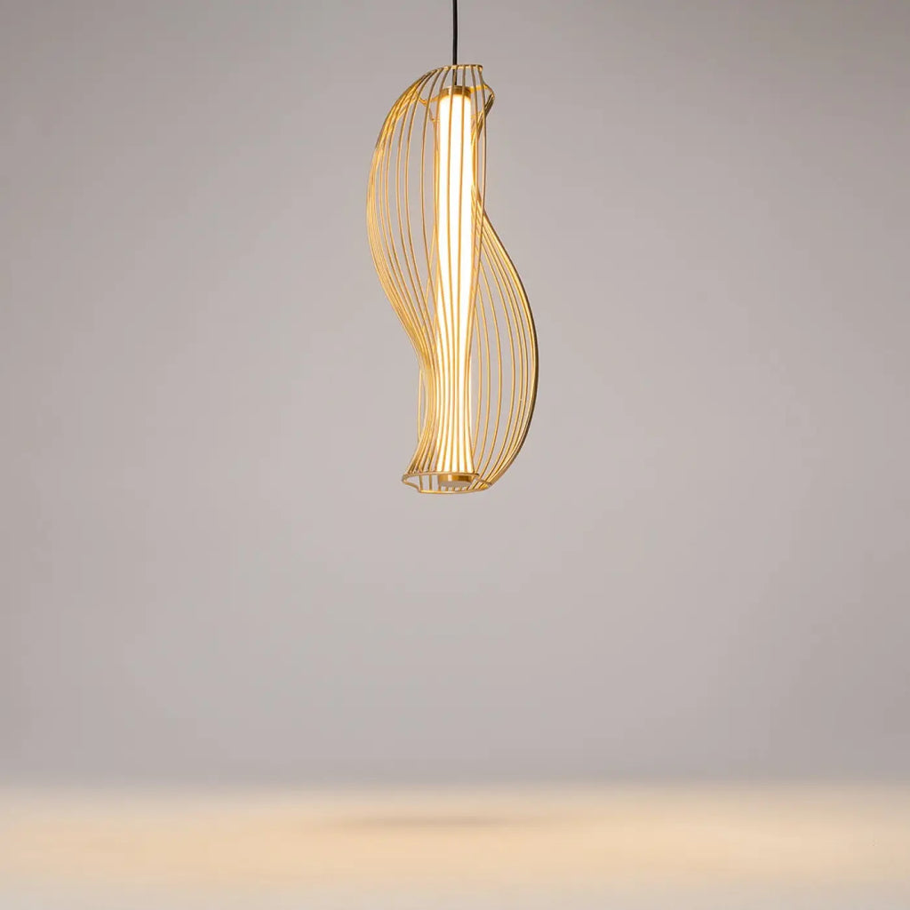 Suspension Luminaire | SHADOWS OF THE PAST (Cadre Sculptural)