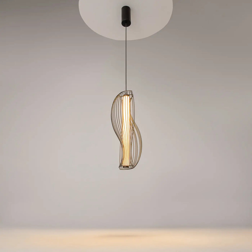 Suspension Luminaire | SHADOWS OF THE PAST (Cadre Sculptural)
