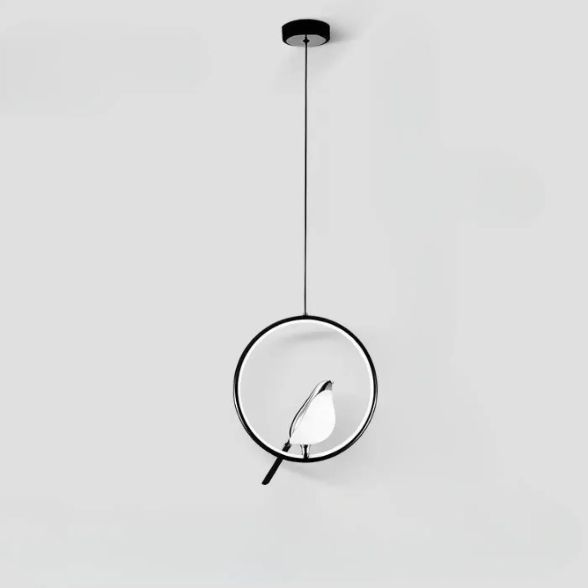 Suspension Luminaire | FODY