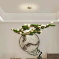 Suspension Luminaire | BONSAI