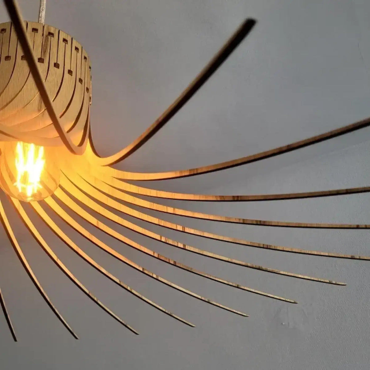 Suspension Luminaire | ROTOND
