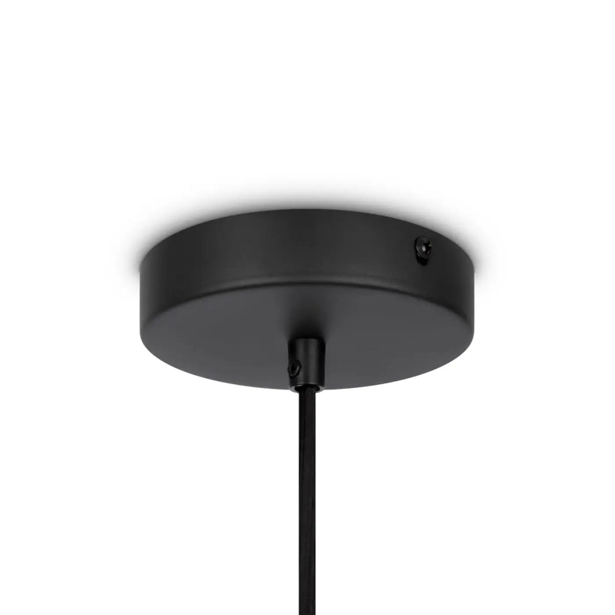 Suspension Luminaire | ROOTS (Poire)